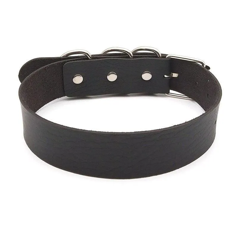 Adorable Puppy Collar (Colors)