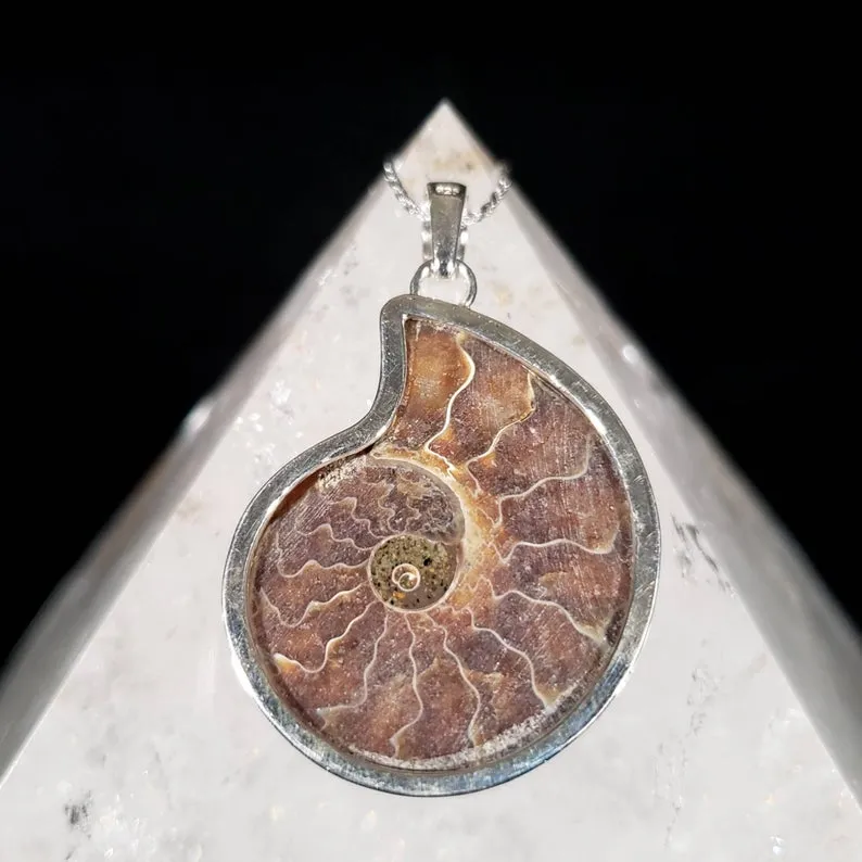 Avatar Ammonite Seashell Fossil Pendant