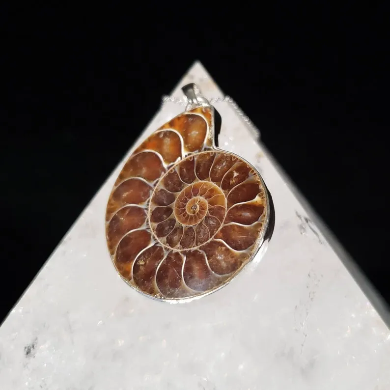 Avatar Ammonite Seashell Fossil Pendant
