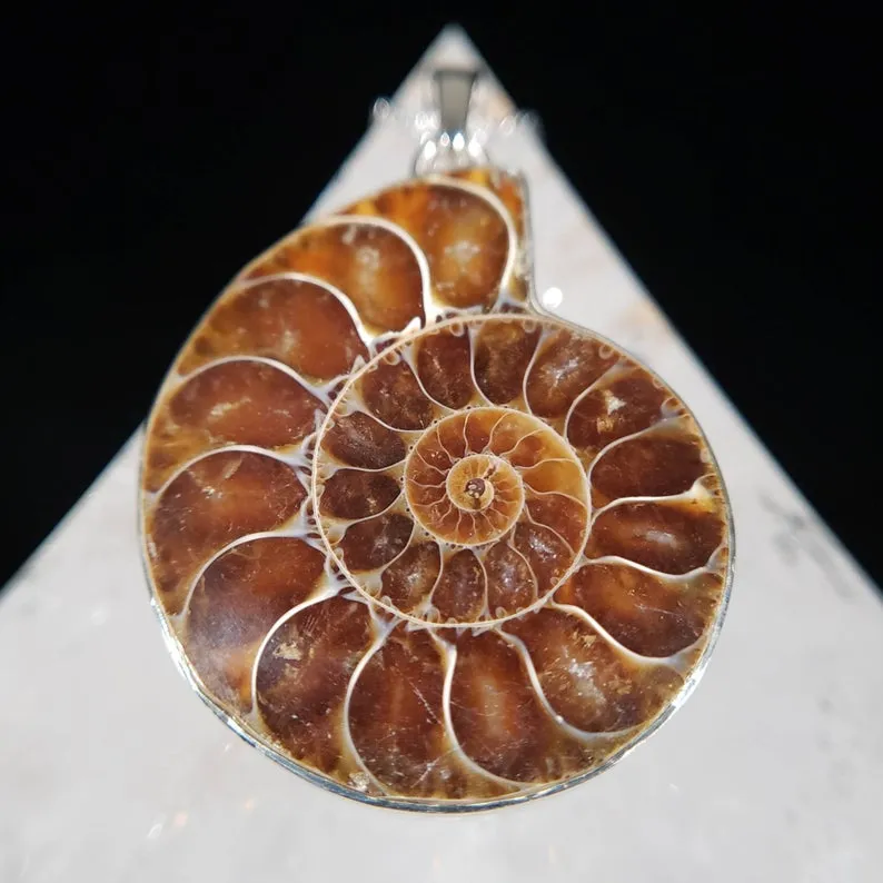 Avatar Ammonite Seashell Fossil Pendant