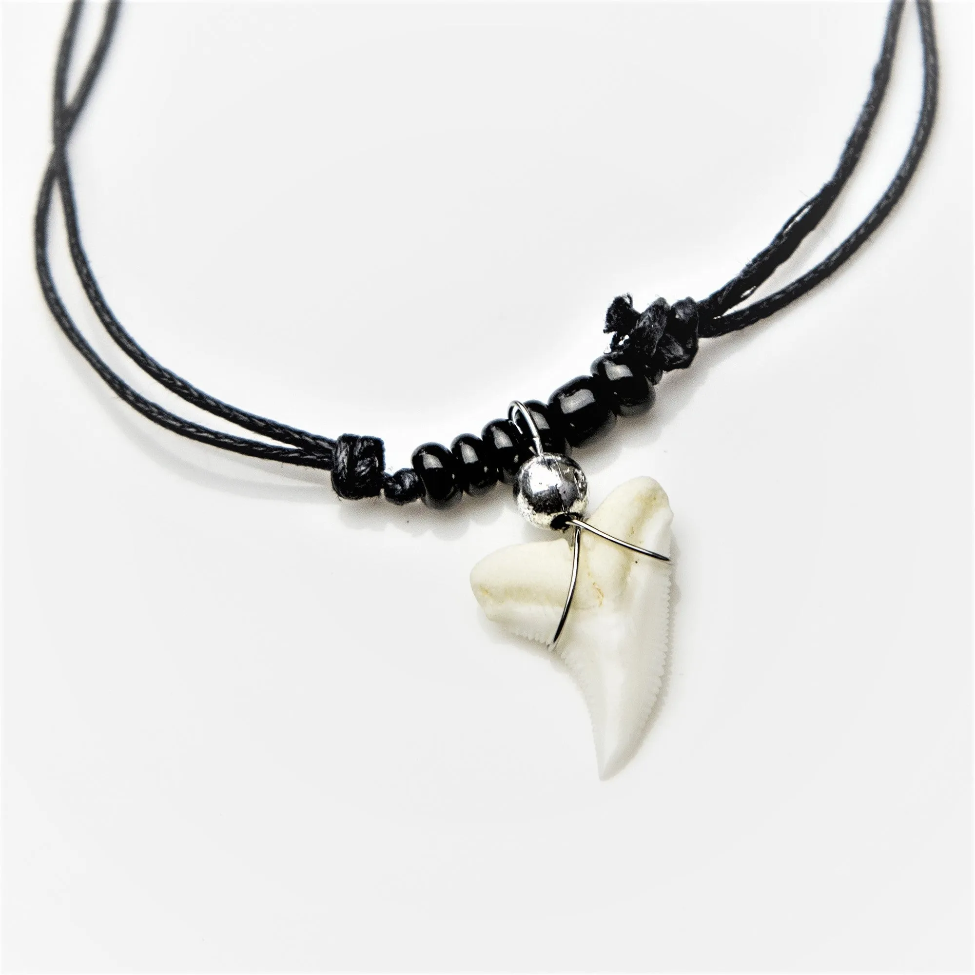 Bulk Shark Tooth Necklaces 40pcs Black and Turquoise