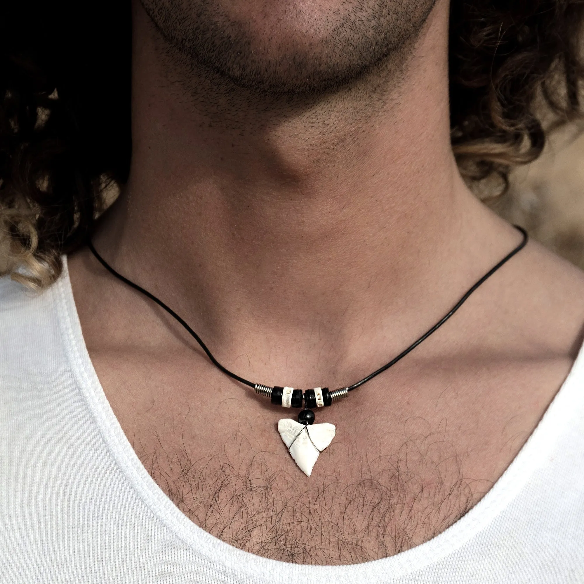Bull Shark Tooth Necklace c180