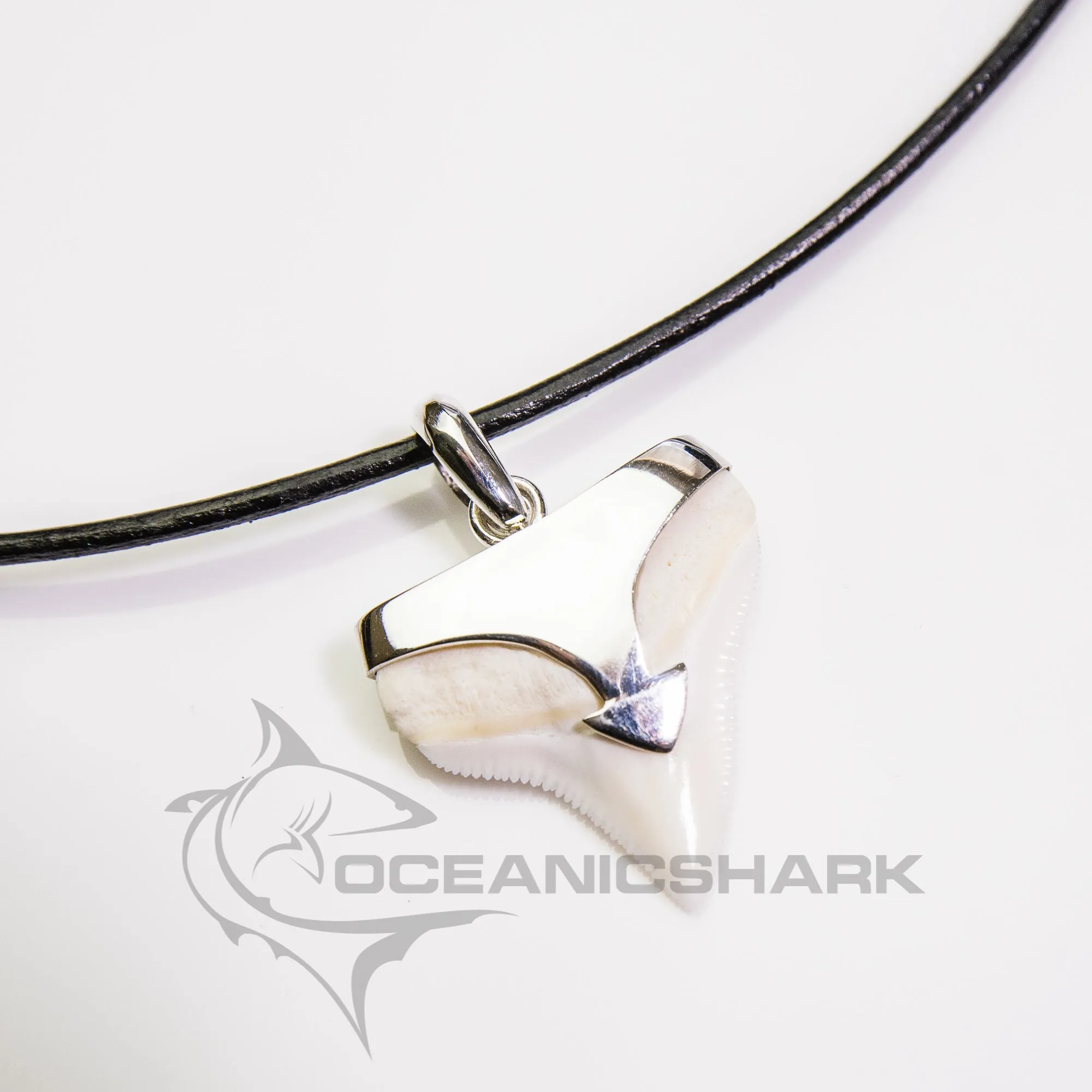 Bull Shark Tooth Necklace Silver Arrow Oceanicshark s7