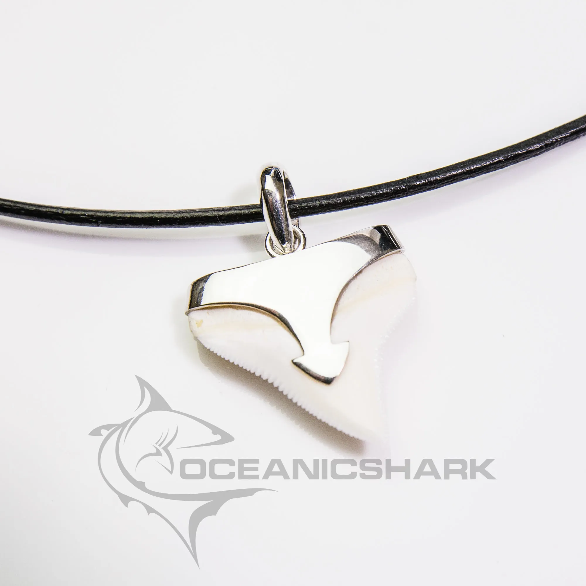 Bull Shark Tooth Necklace Silver Arrow Oceanicshark s7