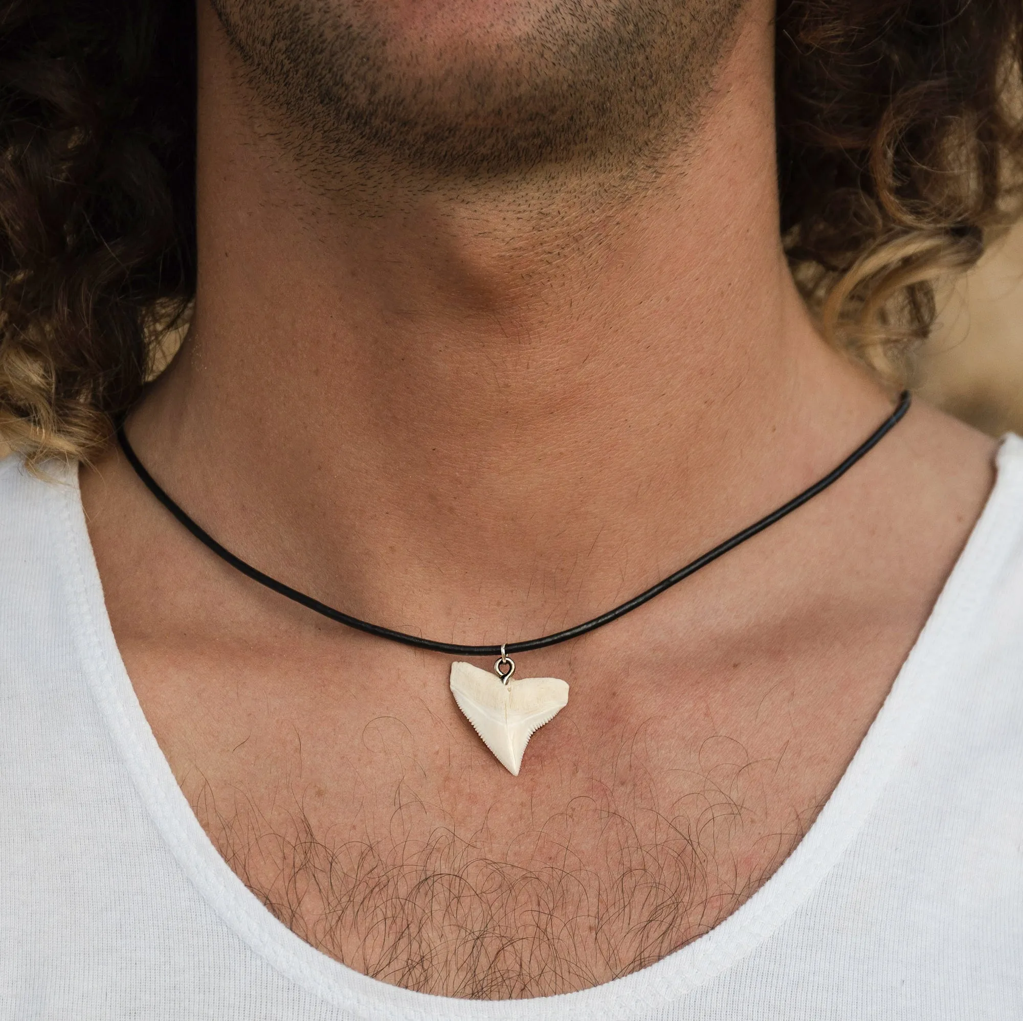 Bull Shark Tooth Pendant c182