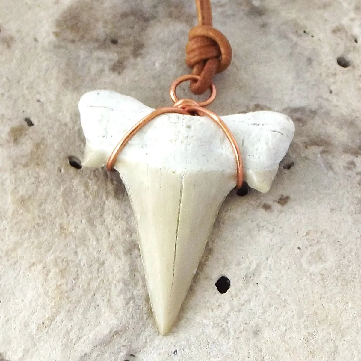 C. Auriculatus Fossil Shark Tooth (33-55 Million Years Old) Necklace