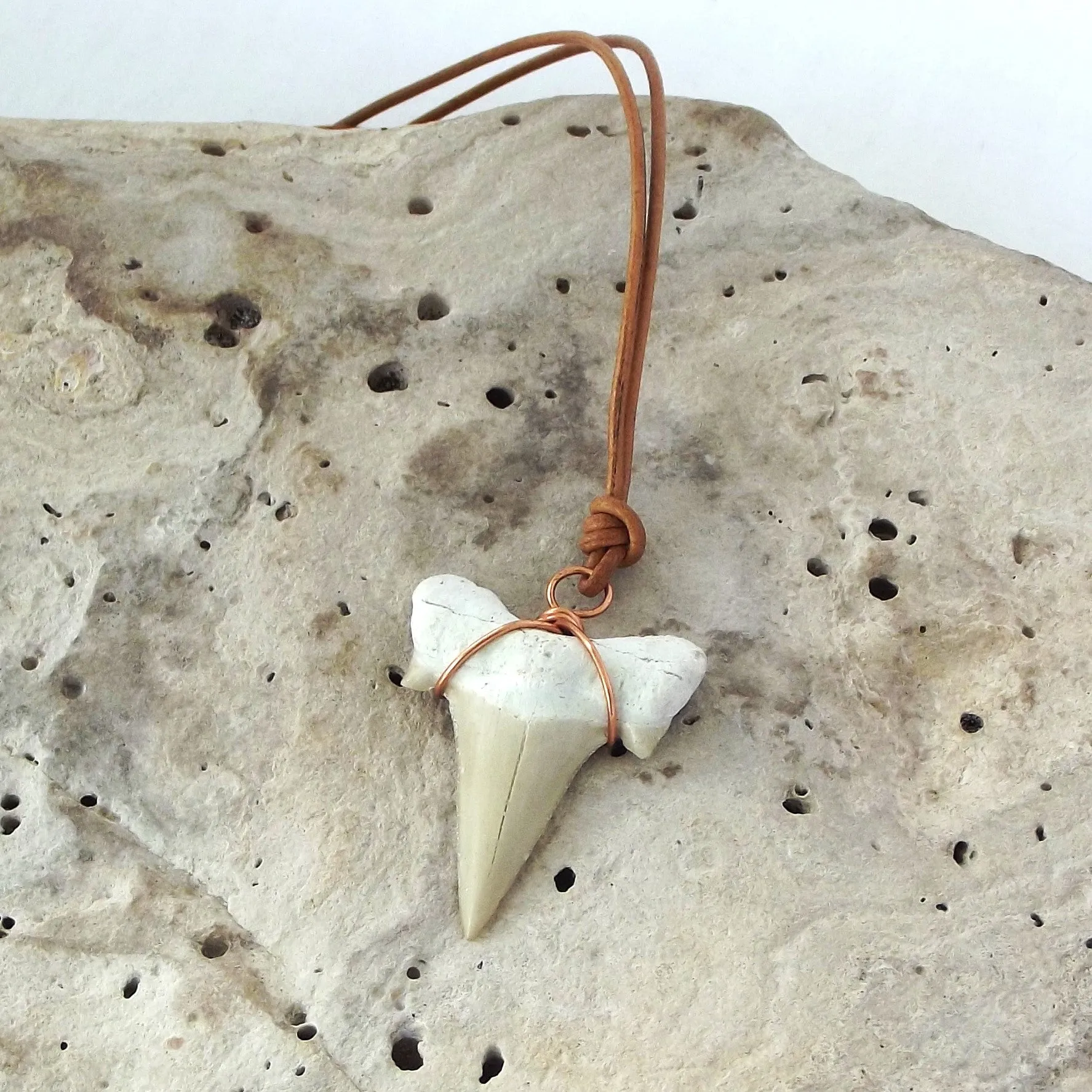 C. Auriculatus Fossil Shark Tooth (33-55 Million Years Old) Necklace