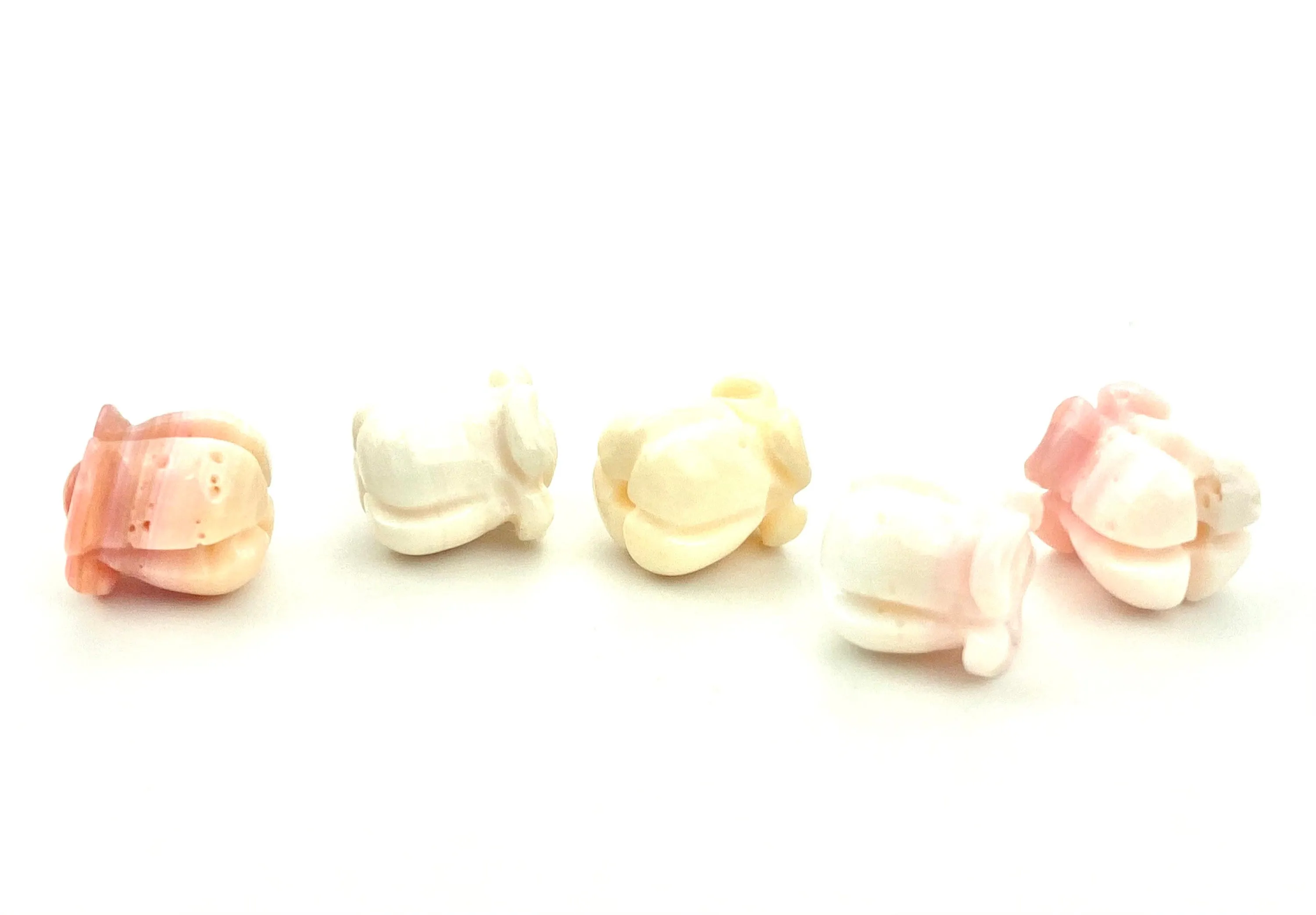 Conch Shell Crown Flower, Sku#M26