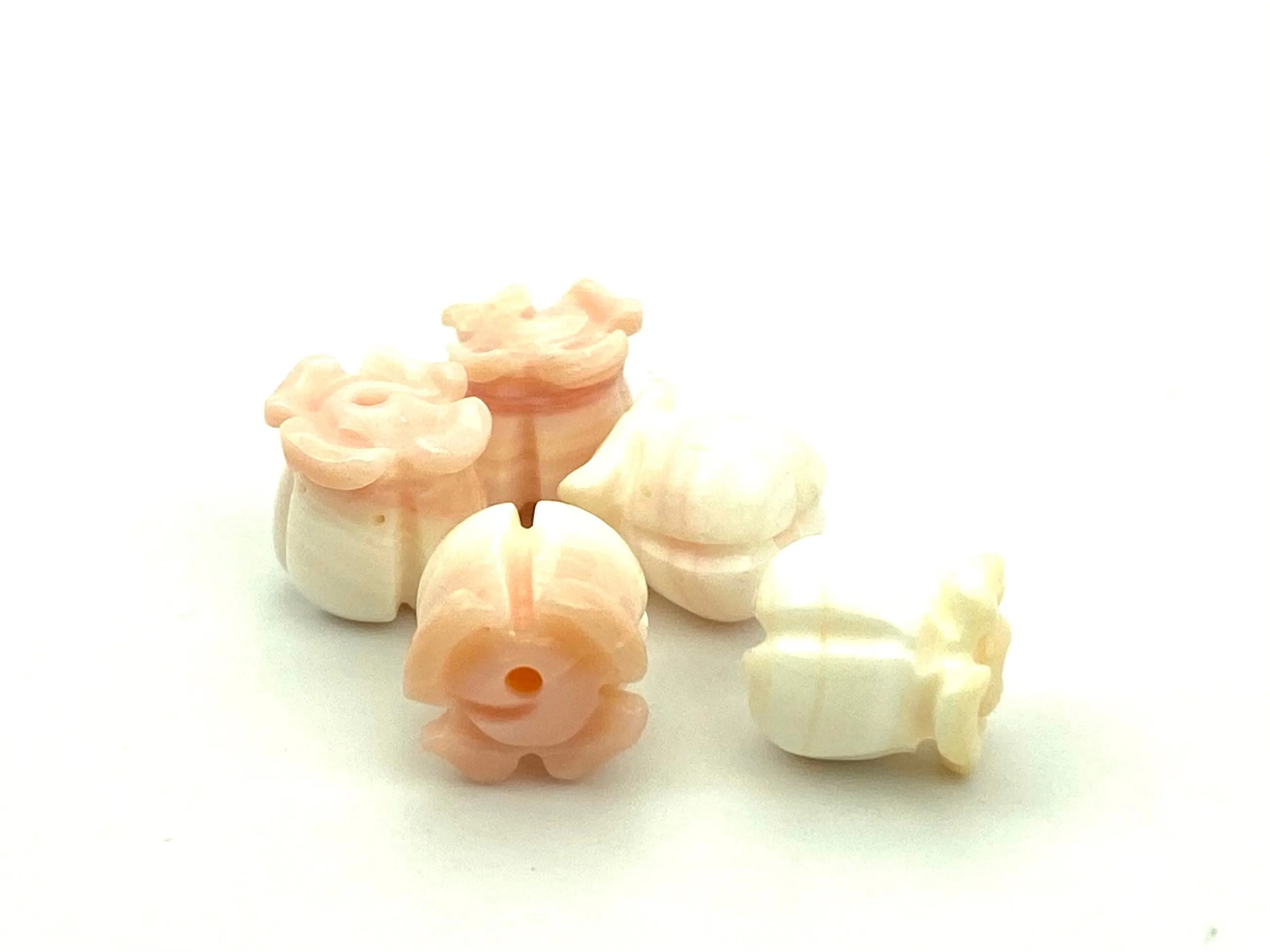 Conch Shell Crown Flower, Sku#M26
