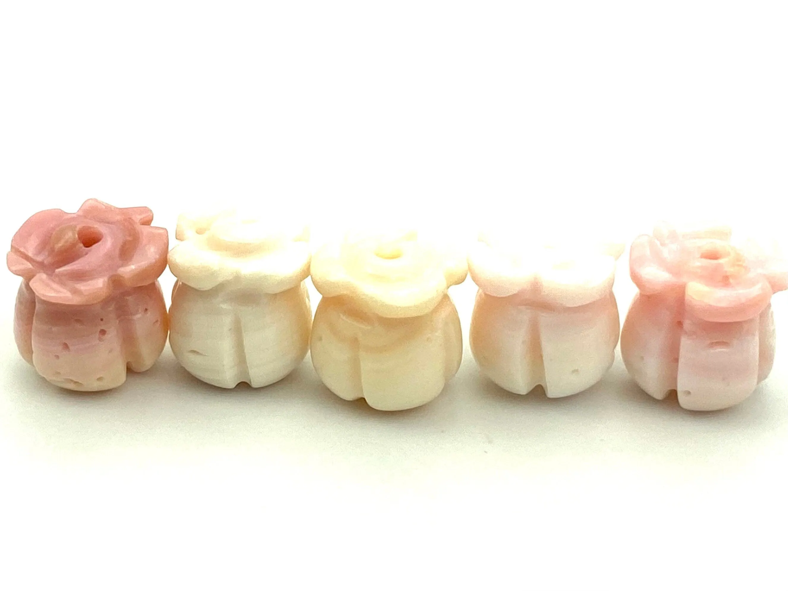 Conch Shell Crown Flower, Sku#M26