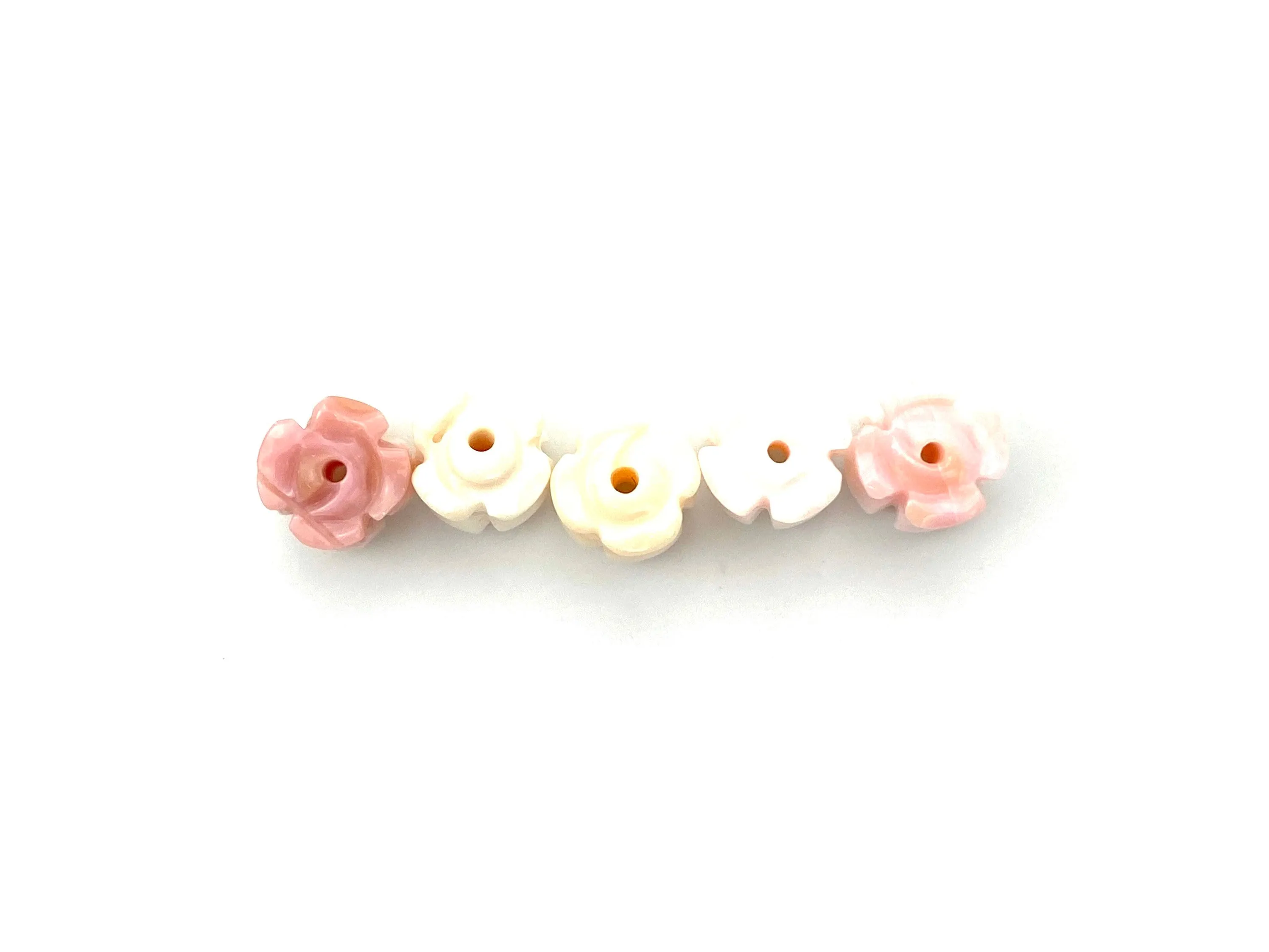 Conch Shell Crown Flower, Sku#M26