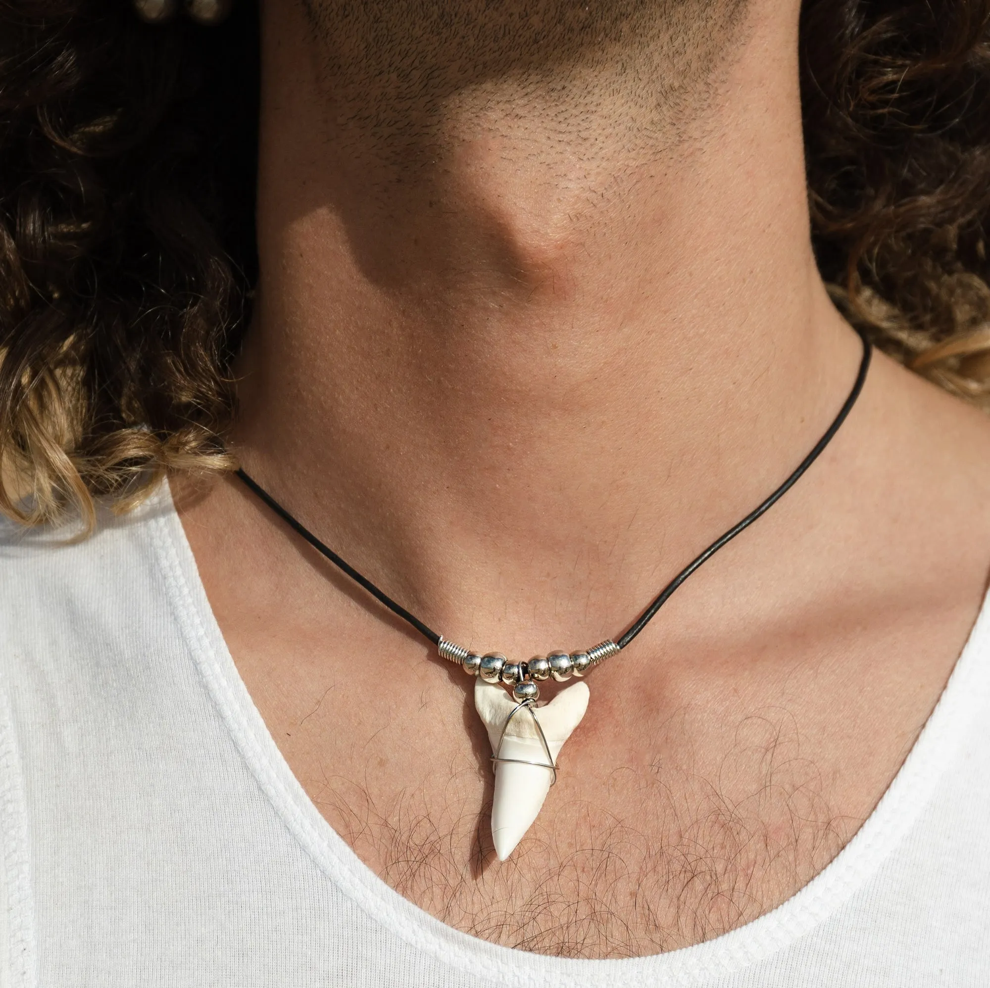 Extra Large Mako Shark Tooth Necklace c187