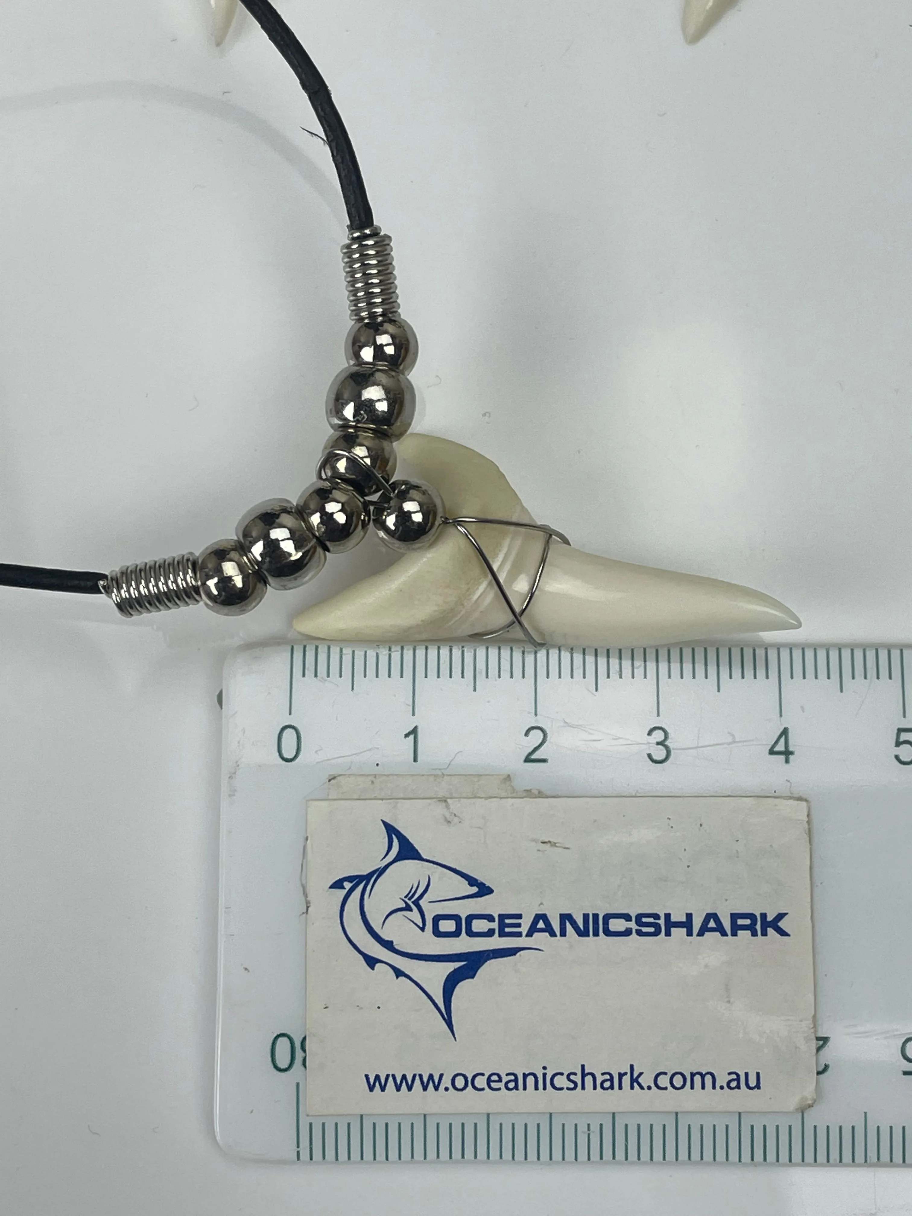 Extra Large Mako Shark Tooth Necklace c187