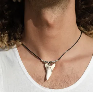 Extra Large Mako Shark Tooth Necklace c187