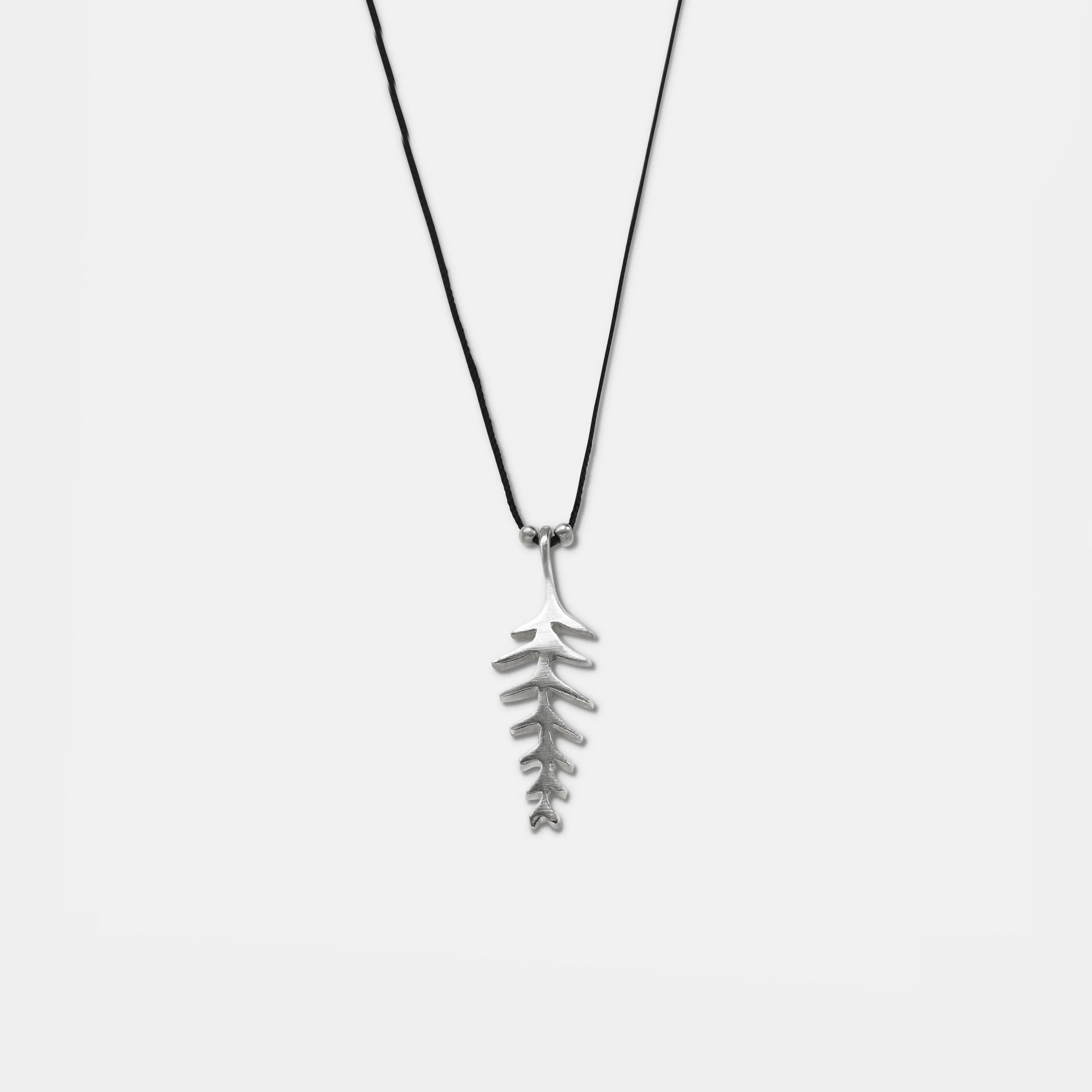 Fern