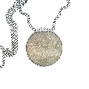 Fossil Coral, Diamond Crown