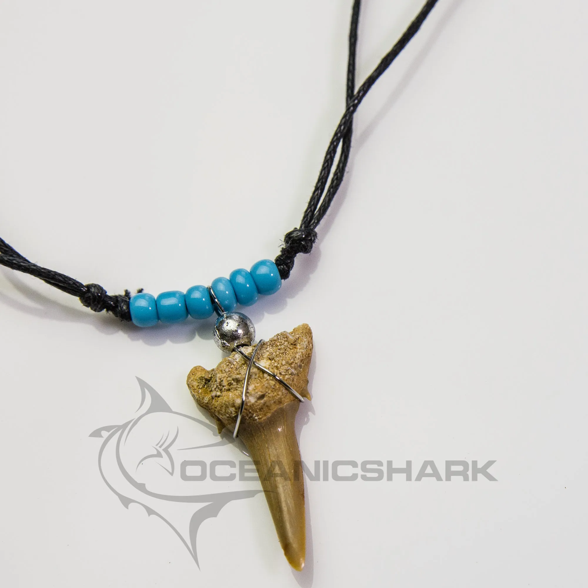 Fossil Tiger Shark Tooth Necklace Oceanicshark c217