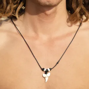 Large Mako Shark Tooth c210