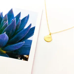 Lucia Clamshell Necklace | Gold