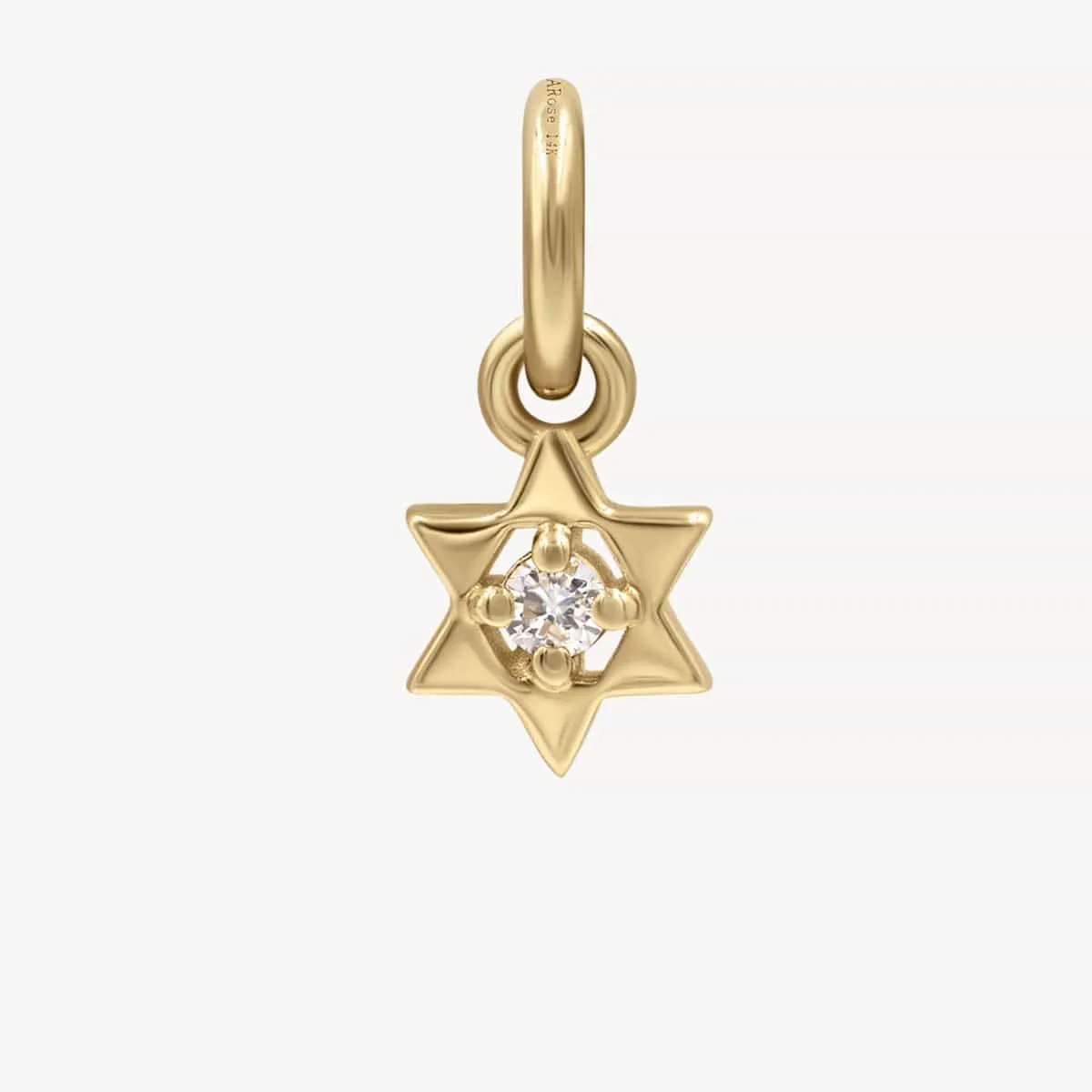 Mini Golden Charms