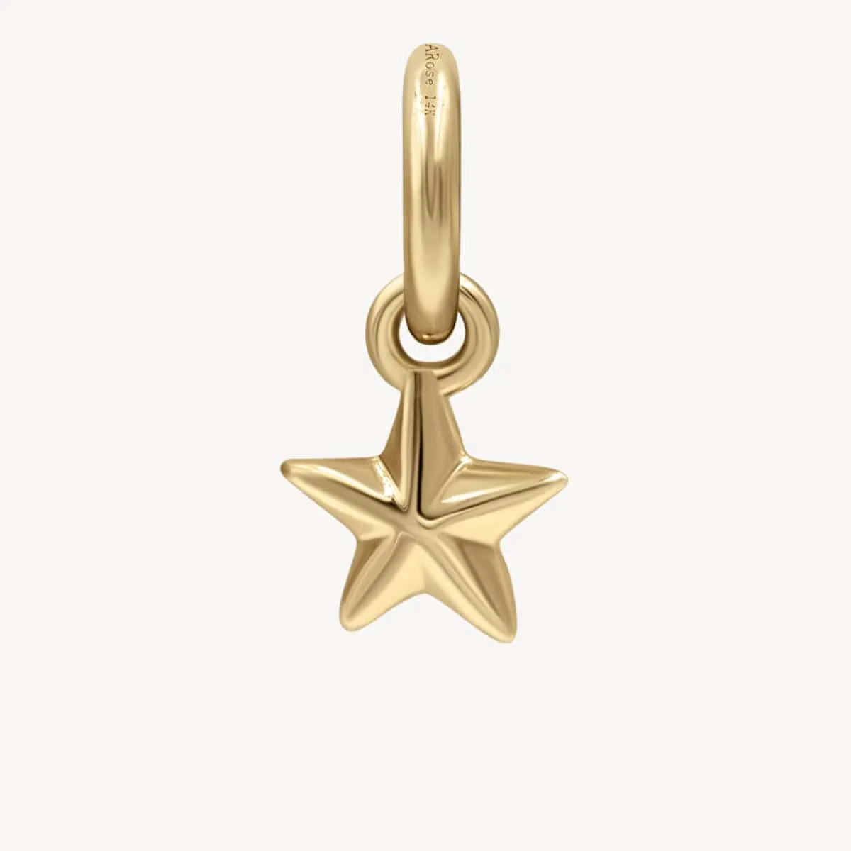 Mini Golden Charms