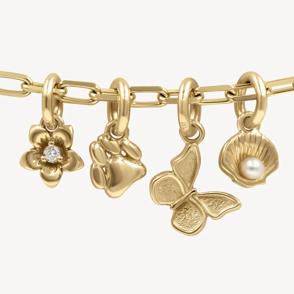 Mini Golden Charms