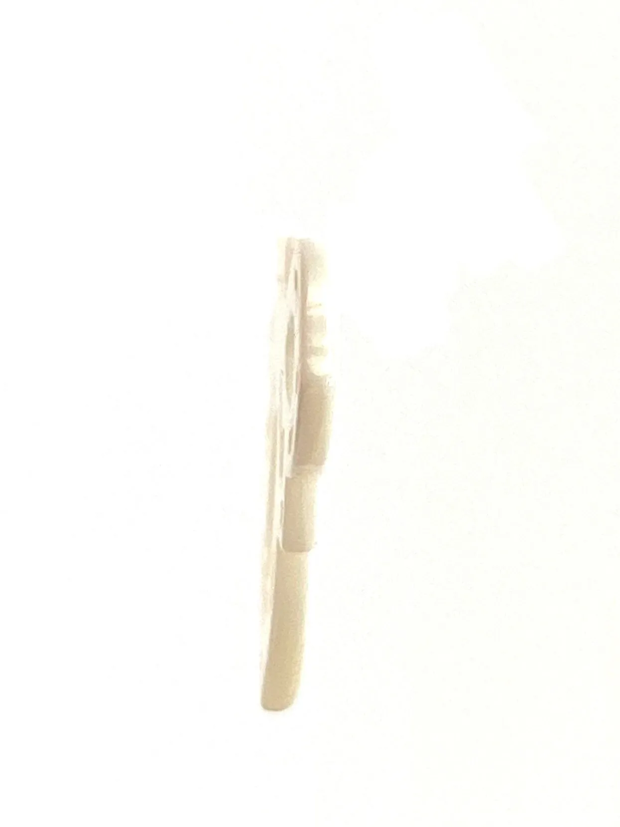 Mother Of Pearl Bee Shell, Sku#M279