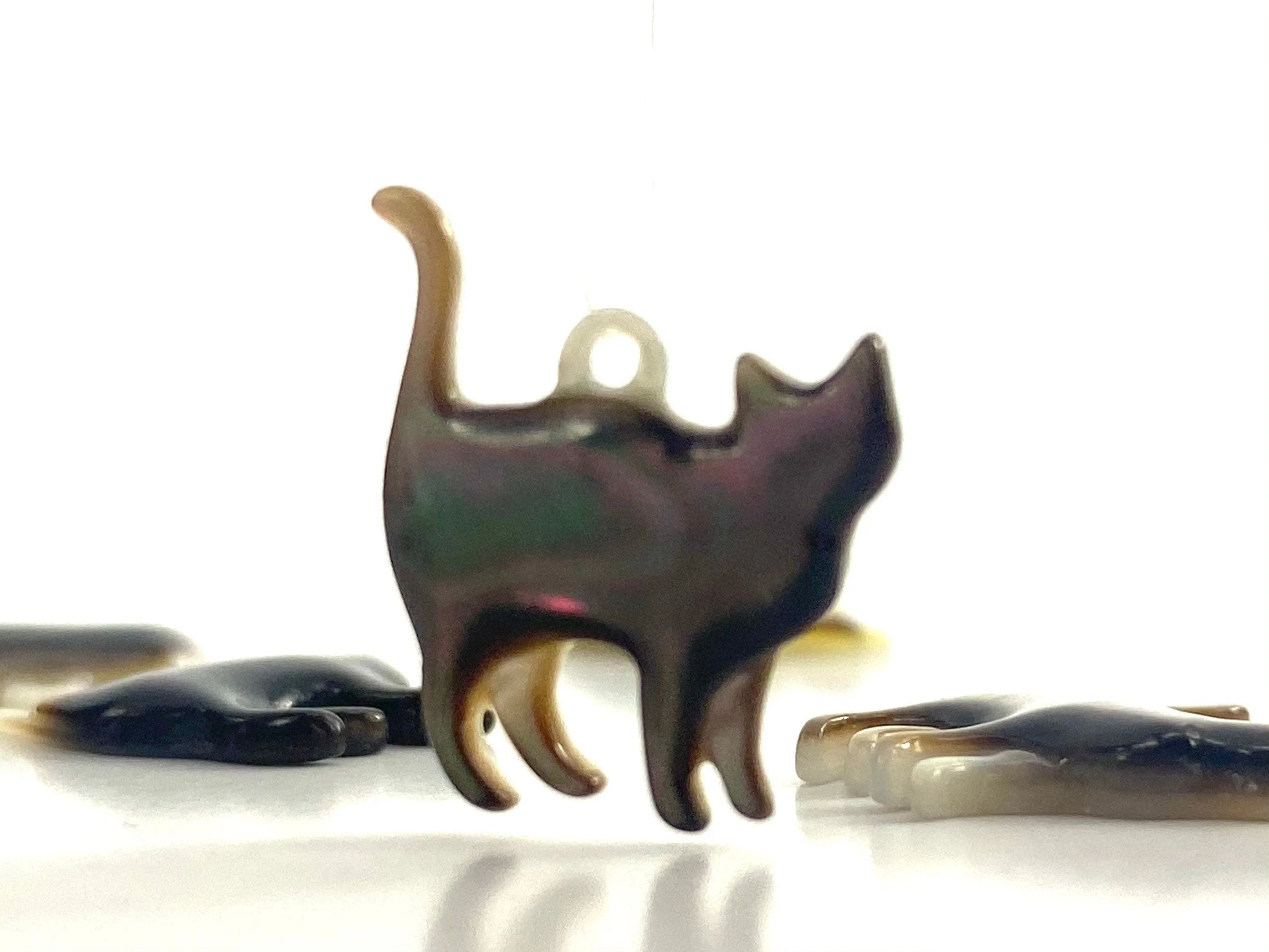 Mother Of Pearl Cat Shell, Sku#M158