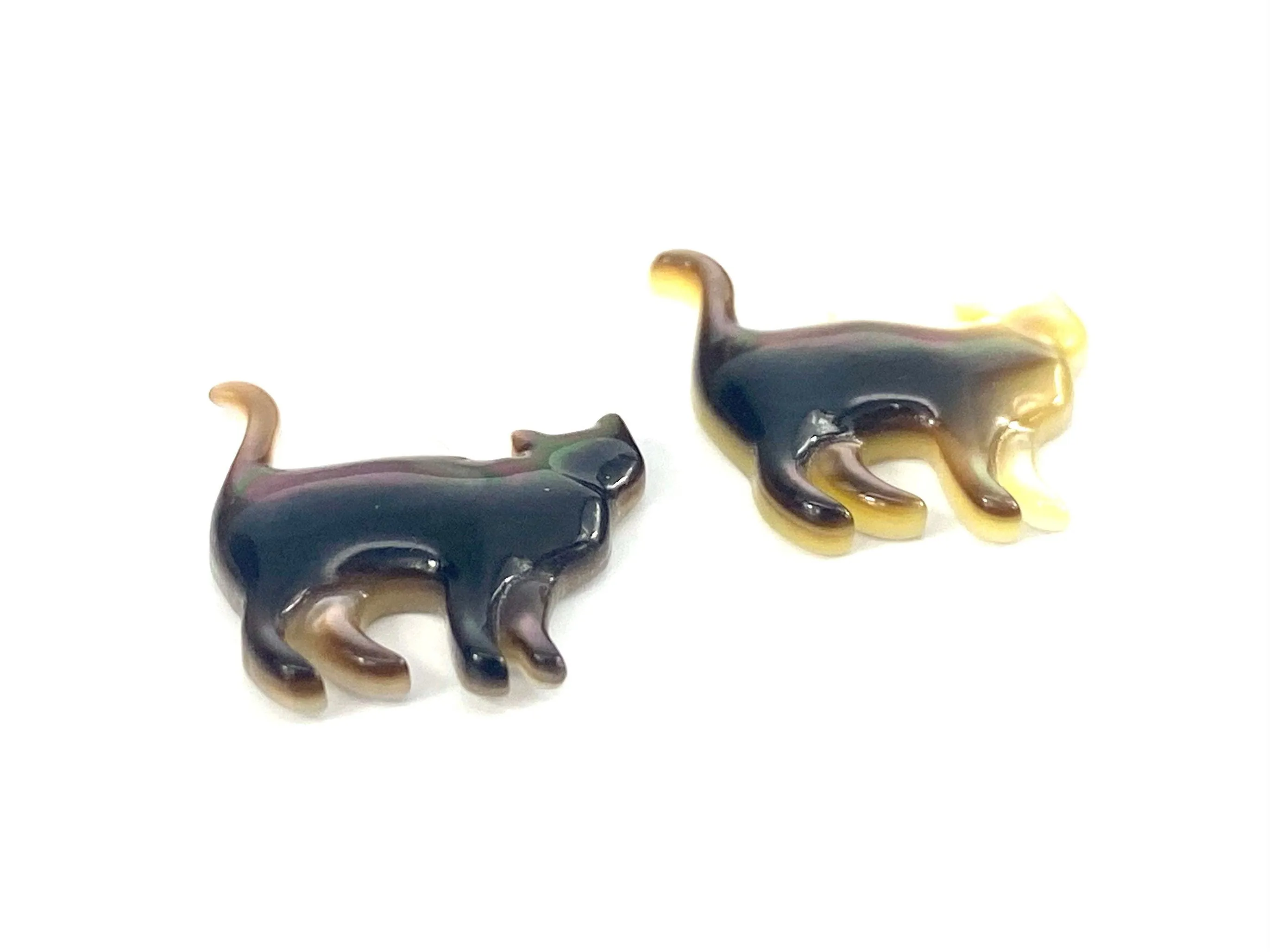 Mother Of Pearl Cat Shell, Sku#M158