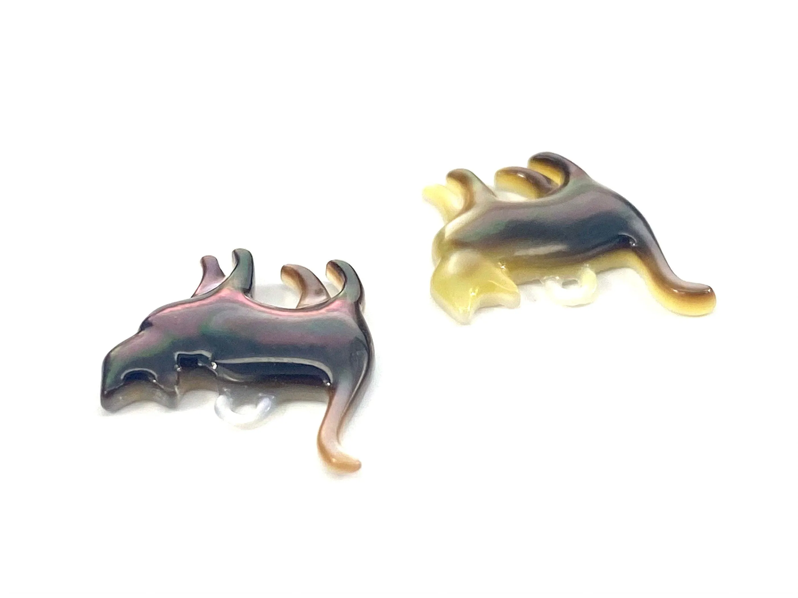 Mother Of Pearl Cat Shell, Sku#M158