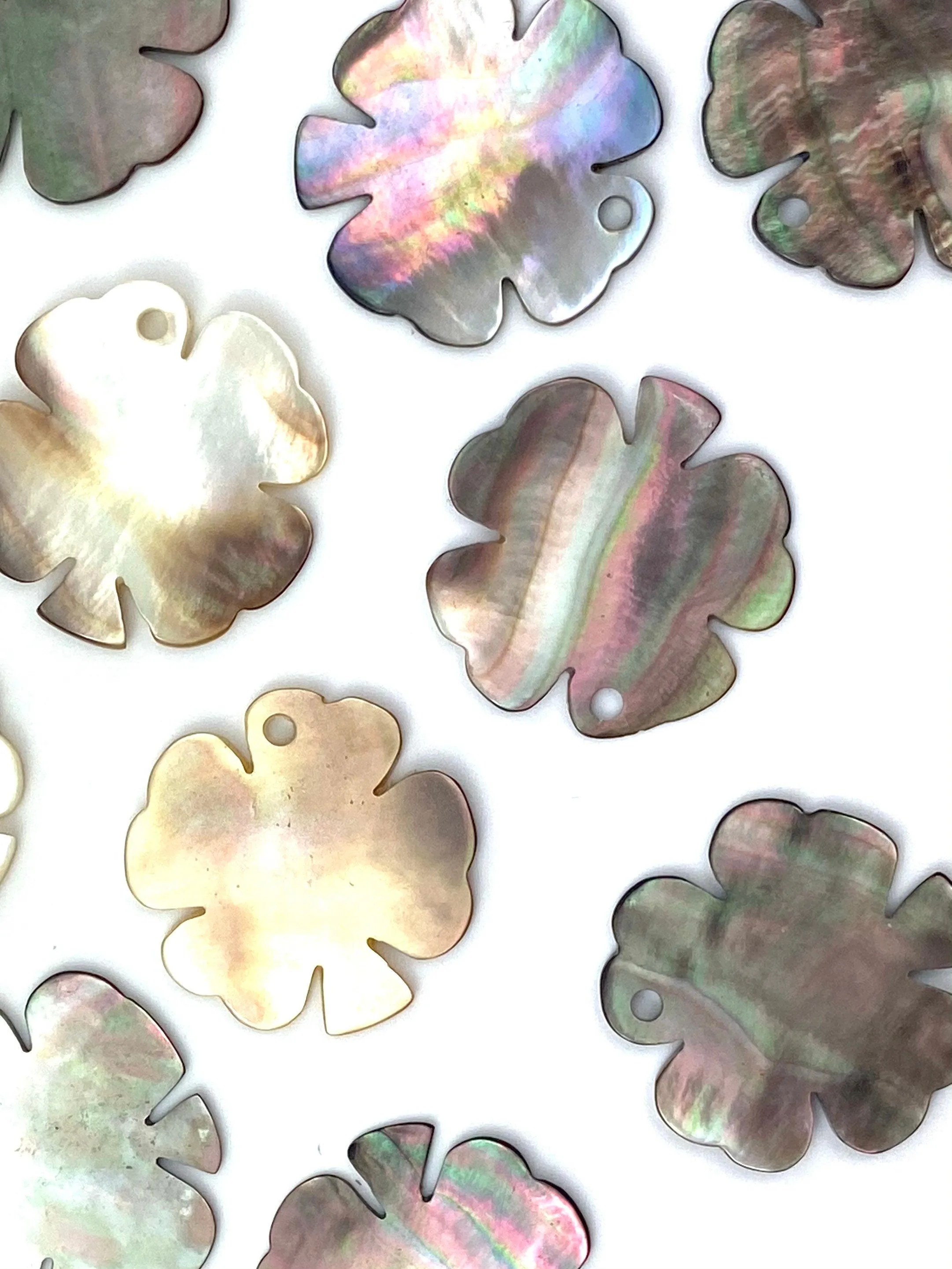 Mother Of Pearl Clover Shell, Sku#307