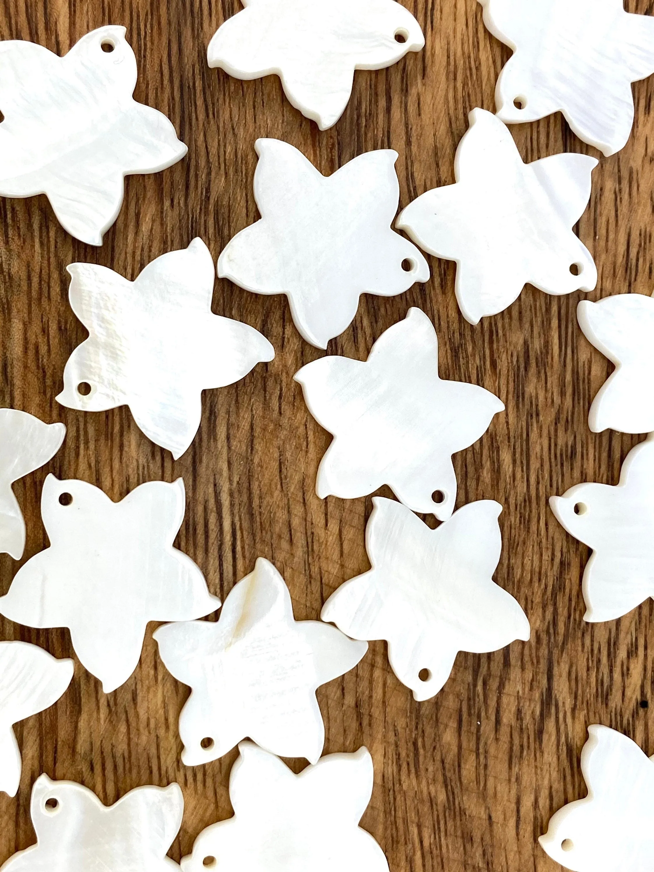 Mother Of Pearl Flower Shell, Sku#M85