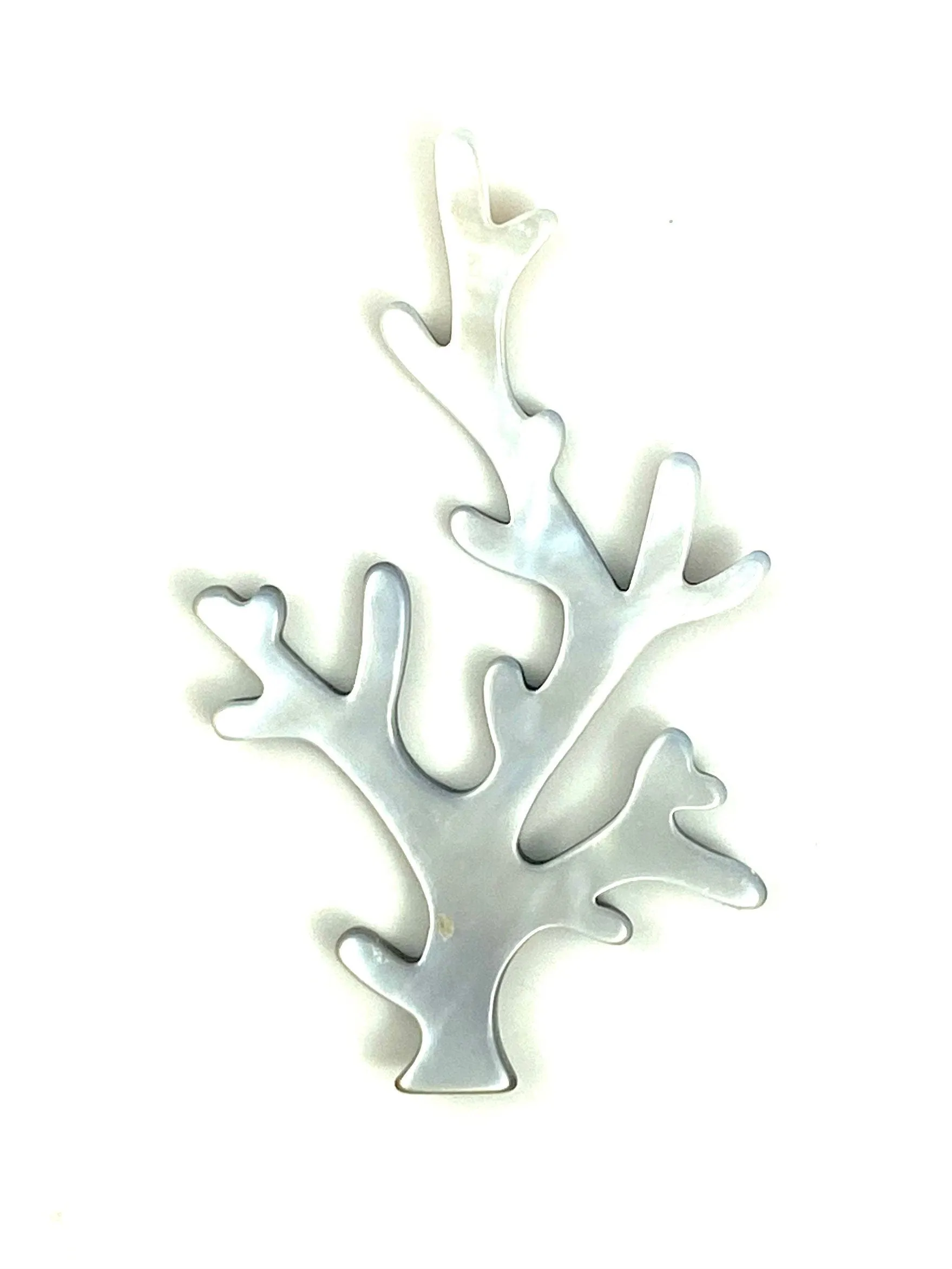Mother Of Pearl Shell, Sku#102