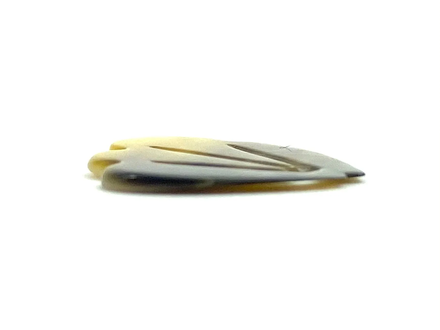 Mother Of Pearl Shell, Sku#269