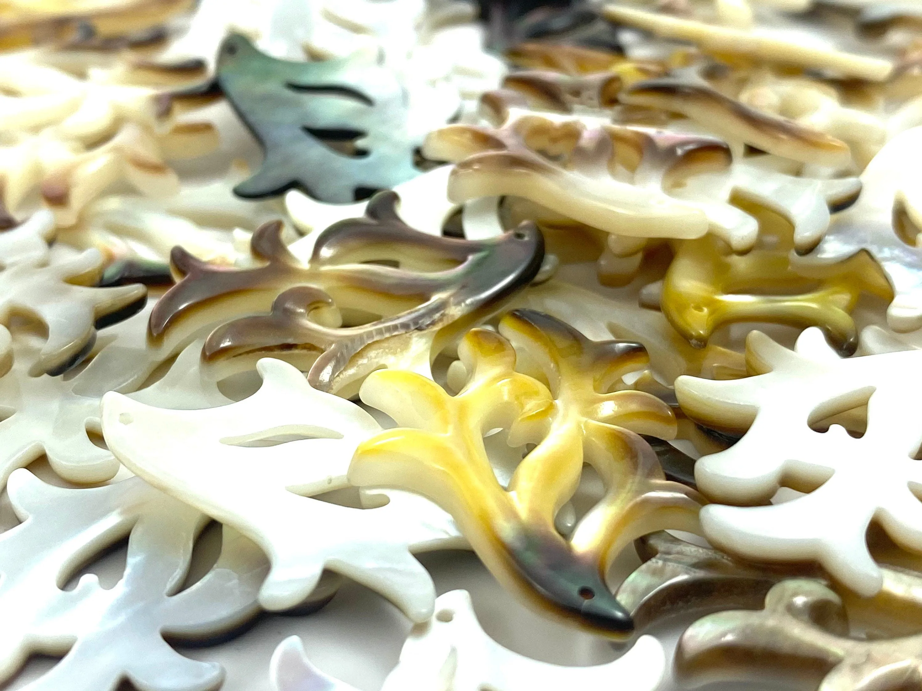Mother Of Pearl Shell, Sku#M156