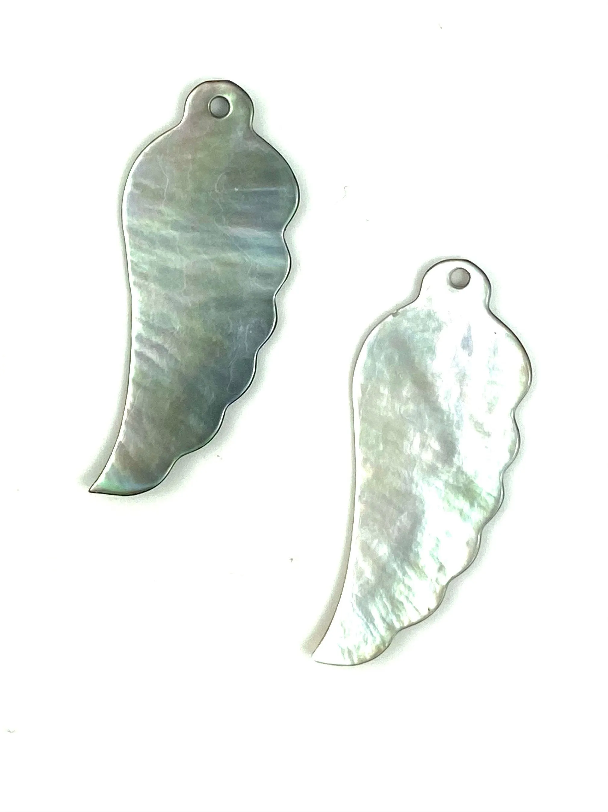 Mother Of Pearl Shell, Sku#M211