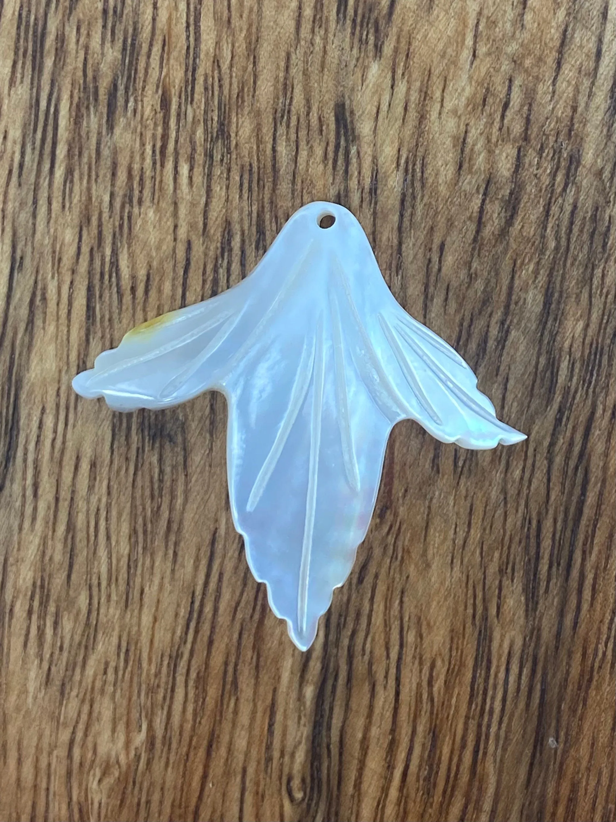 Mother Of Pearl Shell, Sku#M244