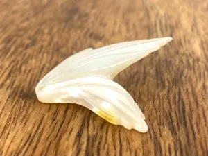 Mother Of Pearl Shell, Sku#M244