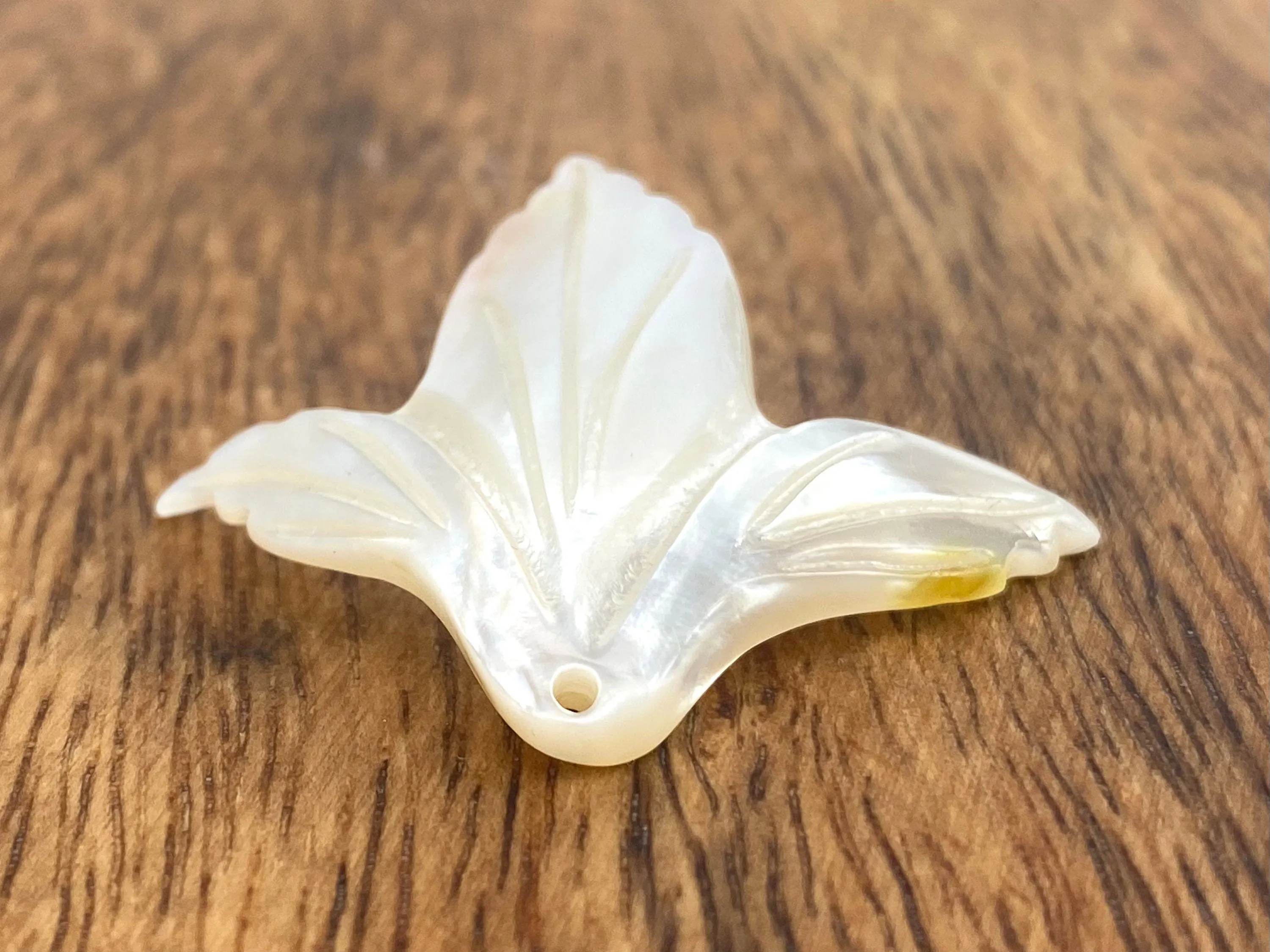 Mother Of Pearl Shell, Sku#M244