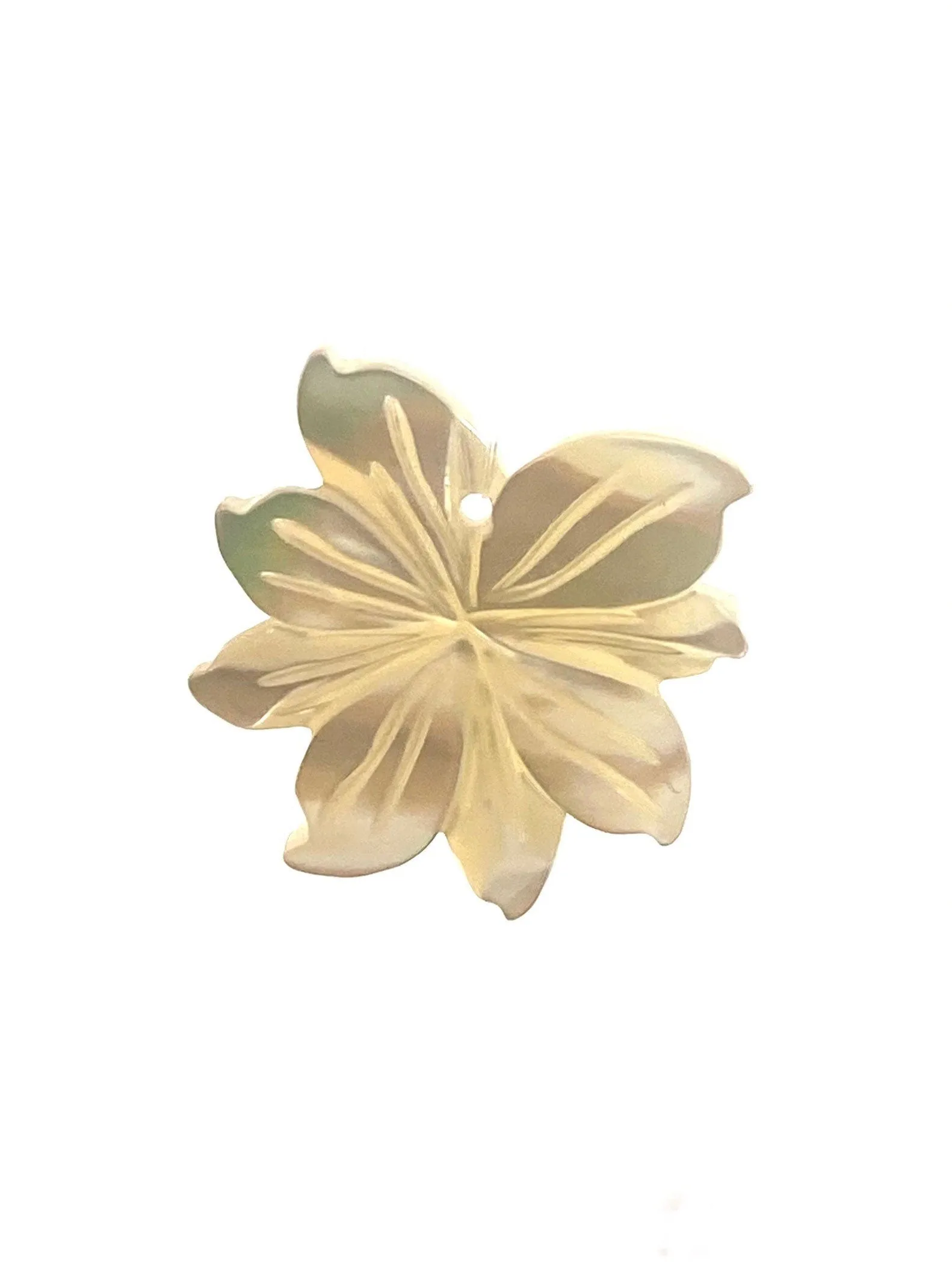 Mother Of Pearl Shell, Sku#M371