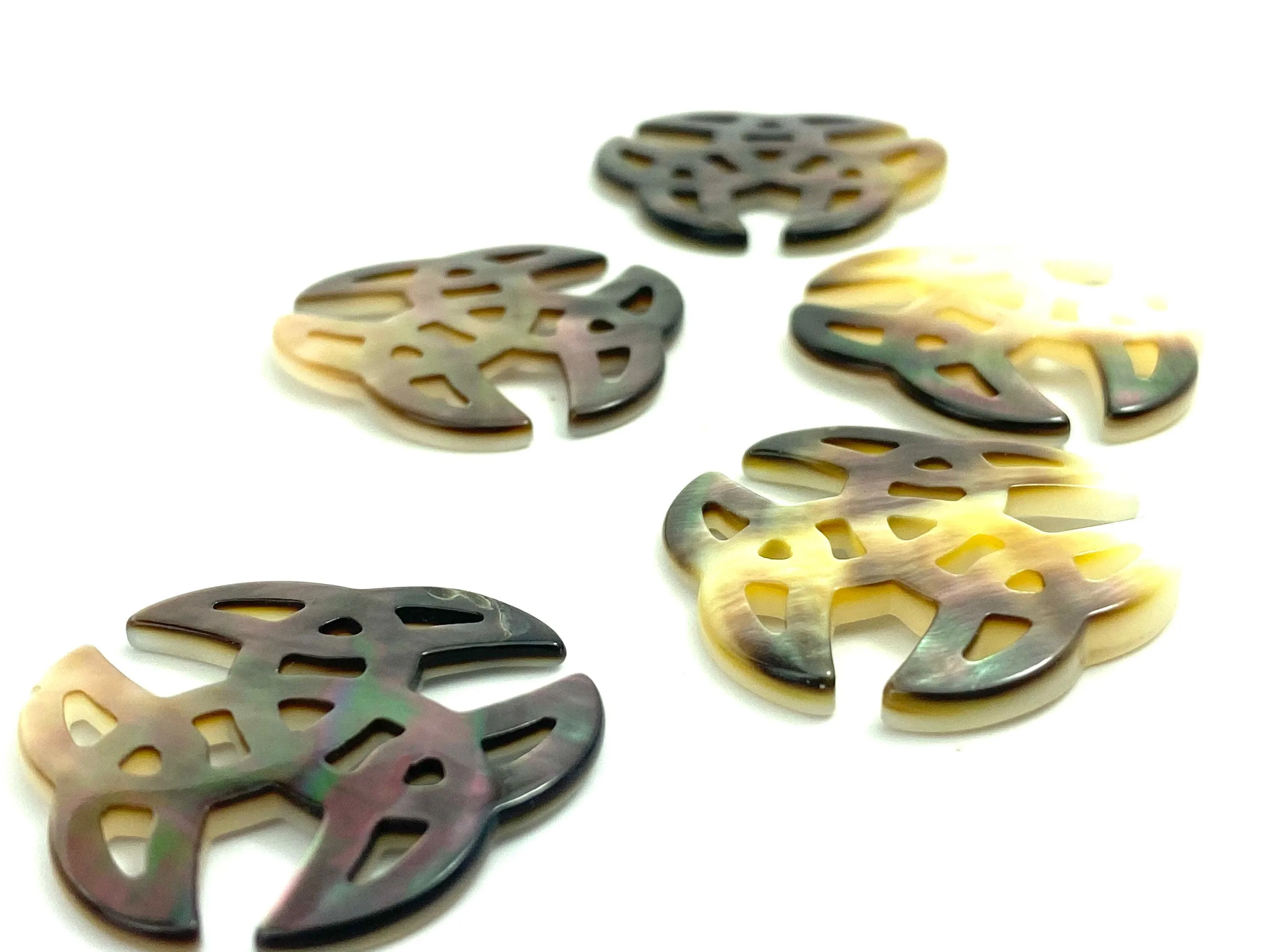 Mother Of Pearl Shell, Sku#M383