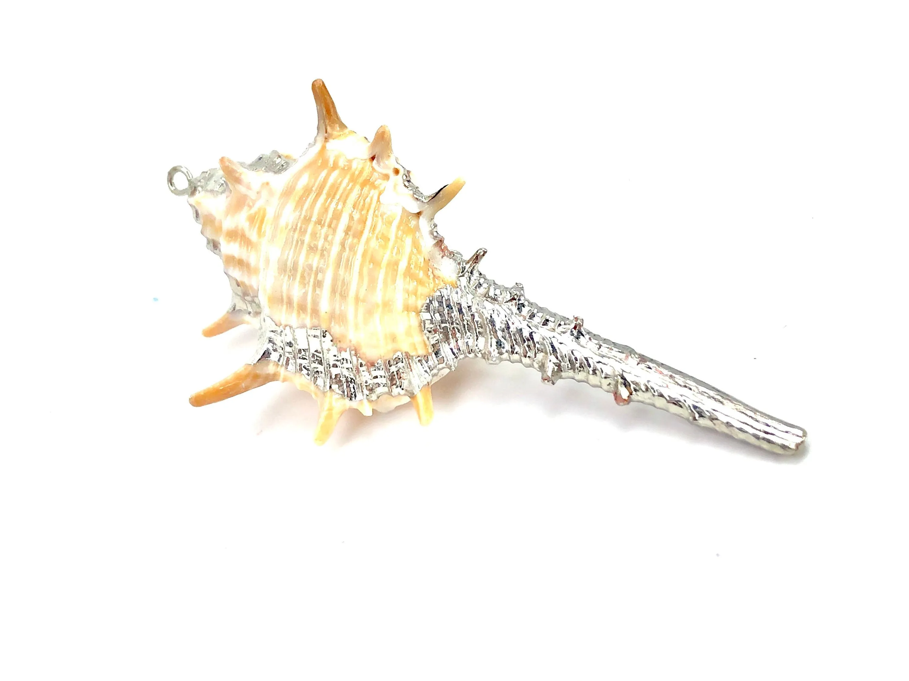 Mother Of Pearl Shell Sku#M662