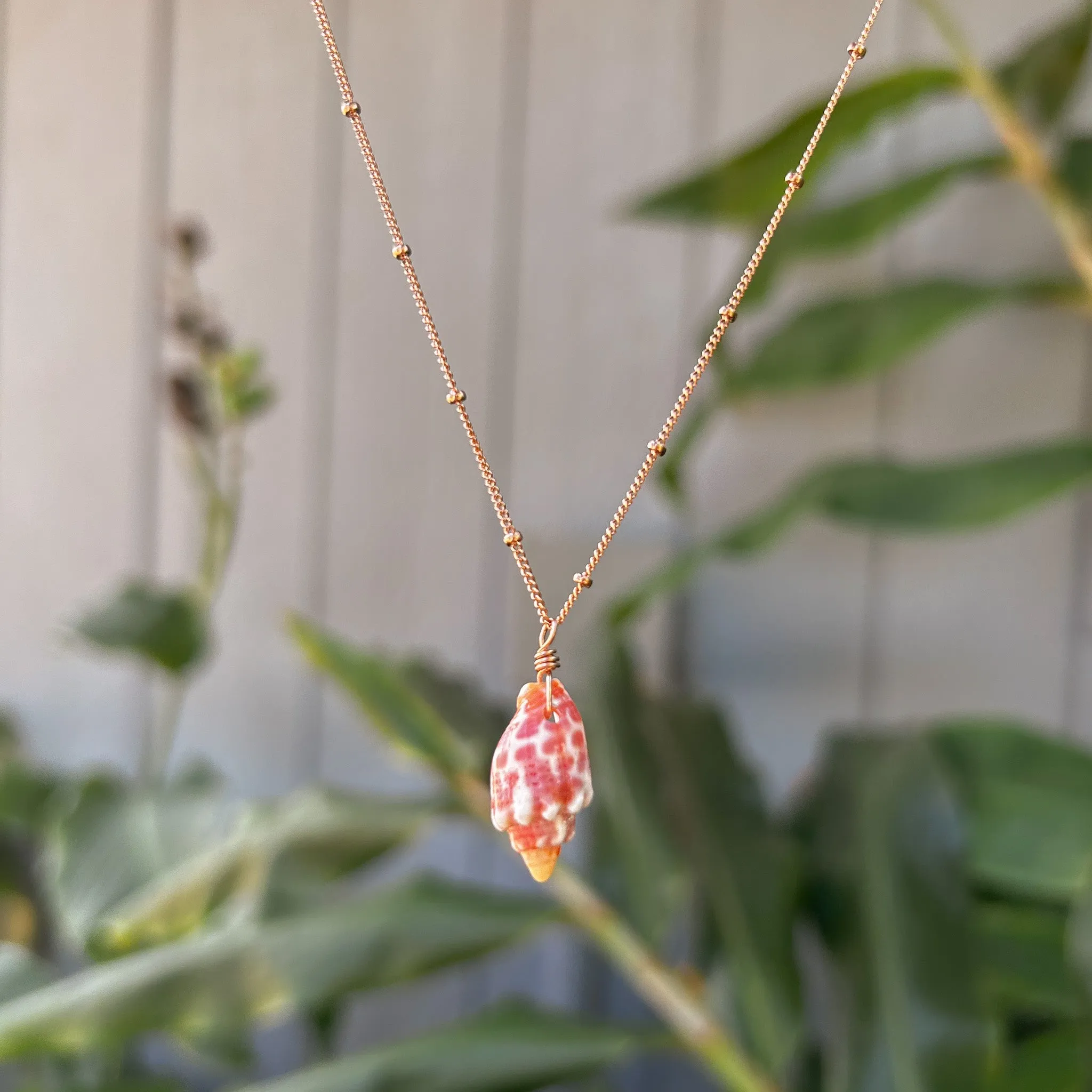 Necklace 14k Rose Gold Filled Satellite Chain - Miter Shell