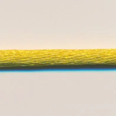 Polyester Satin Cord #24 Karashi