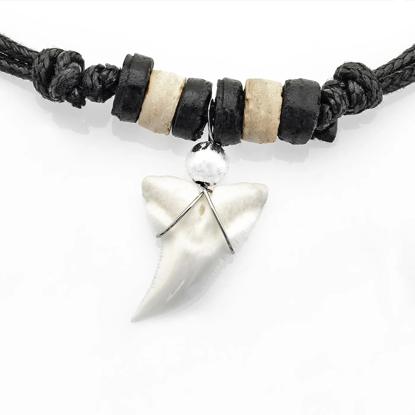 Real Blue Shark Tooth Necklace For Sale c229