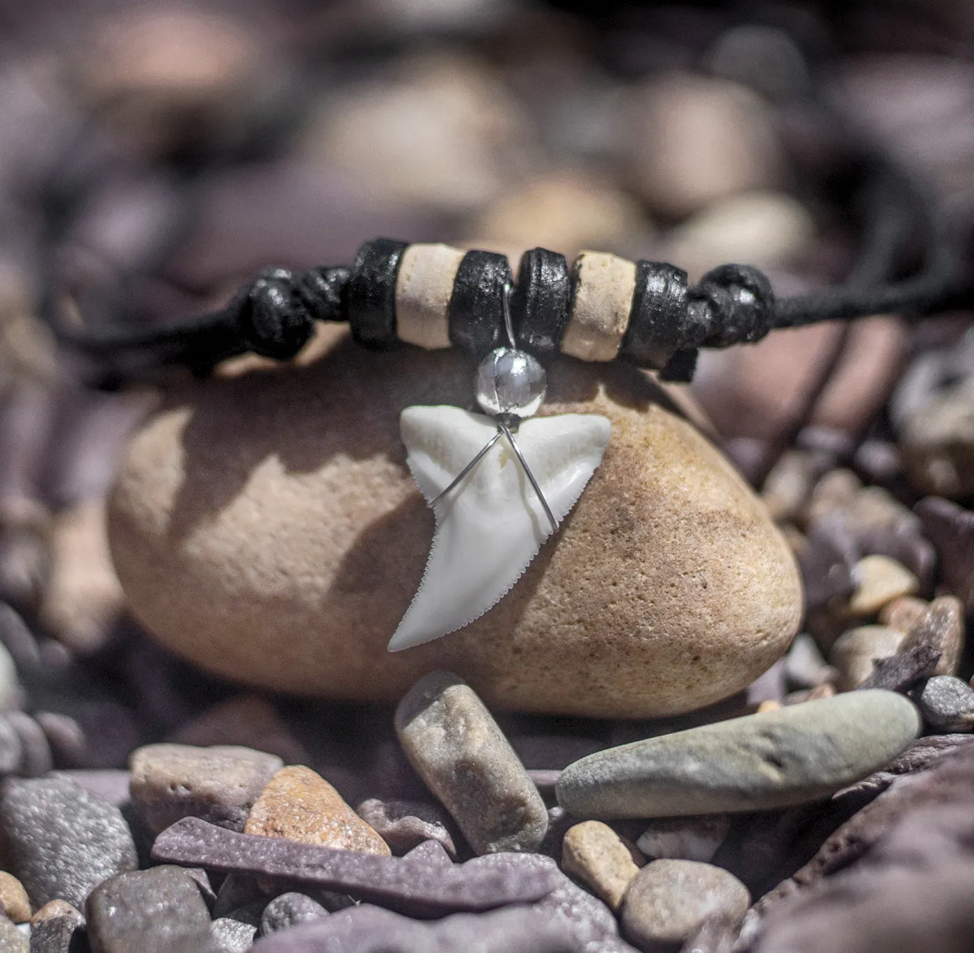 Real Blue Shark Tooth Necklace For Sale c229