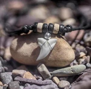 Real Blue Shark Tooth Necklace For Sale c229