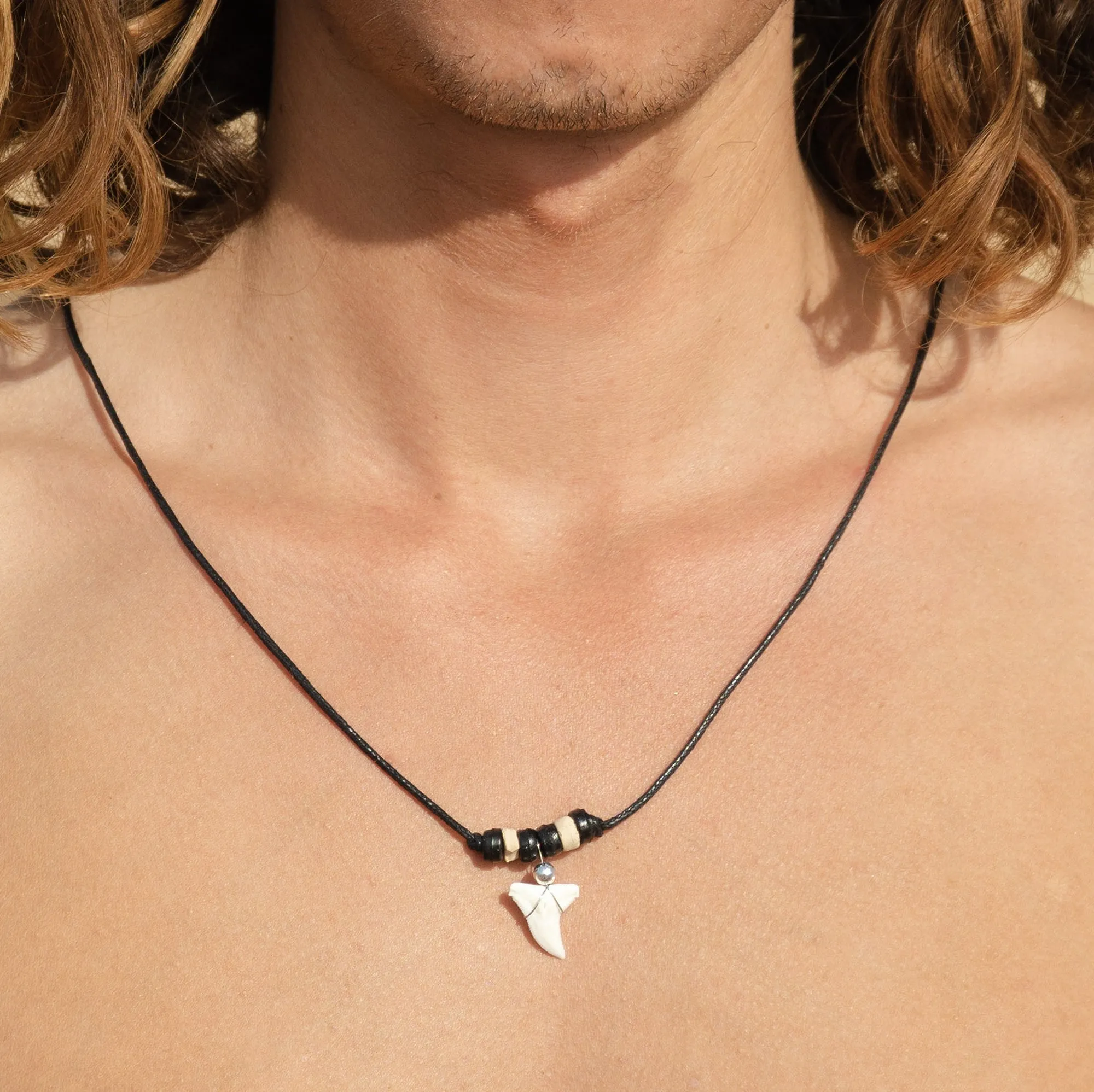 Real Blue Shark Tooth Necklace For Sale c229