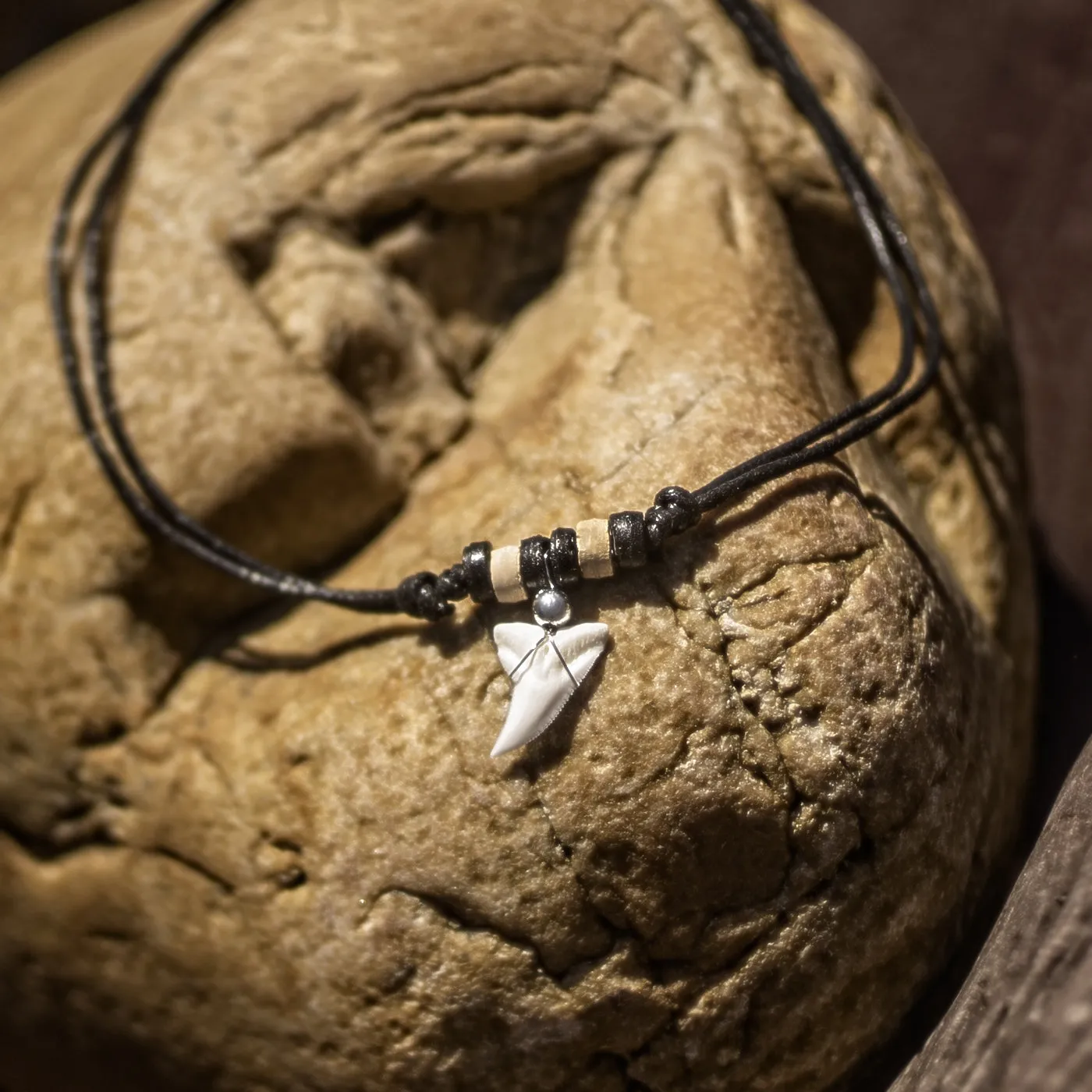 Real Blue Shark Tooth Necklace For Sale c229