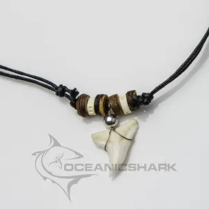 Real Shark Tooth Necklace c42
